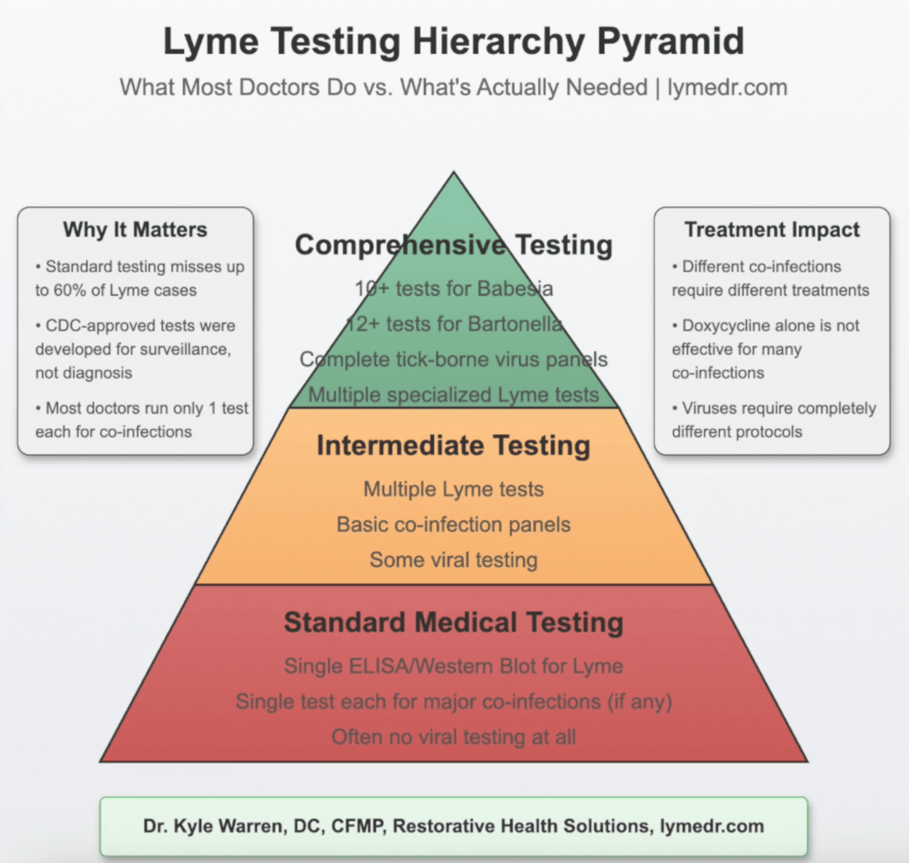Dr. Warren's Lyme testing hierarchy - comprehensive approach requires 10+ Babesia tests, 12+ Bartonella tests, multiple Lyme tests, complete virus panels versus single standard tests
