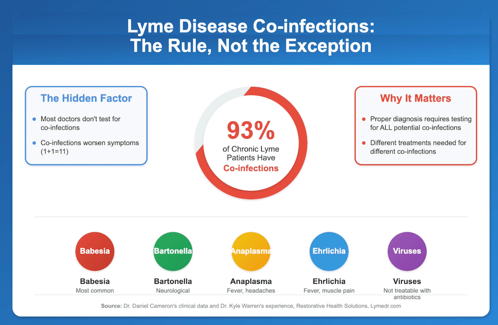 Lyme disease co-infections infographic showing 93% of chronic Lyme patients have co-infections including Babesia, Bartonella, Anaplasma, Ehrlichia, and viruses - the rule not exception
