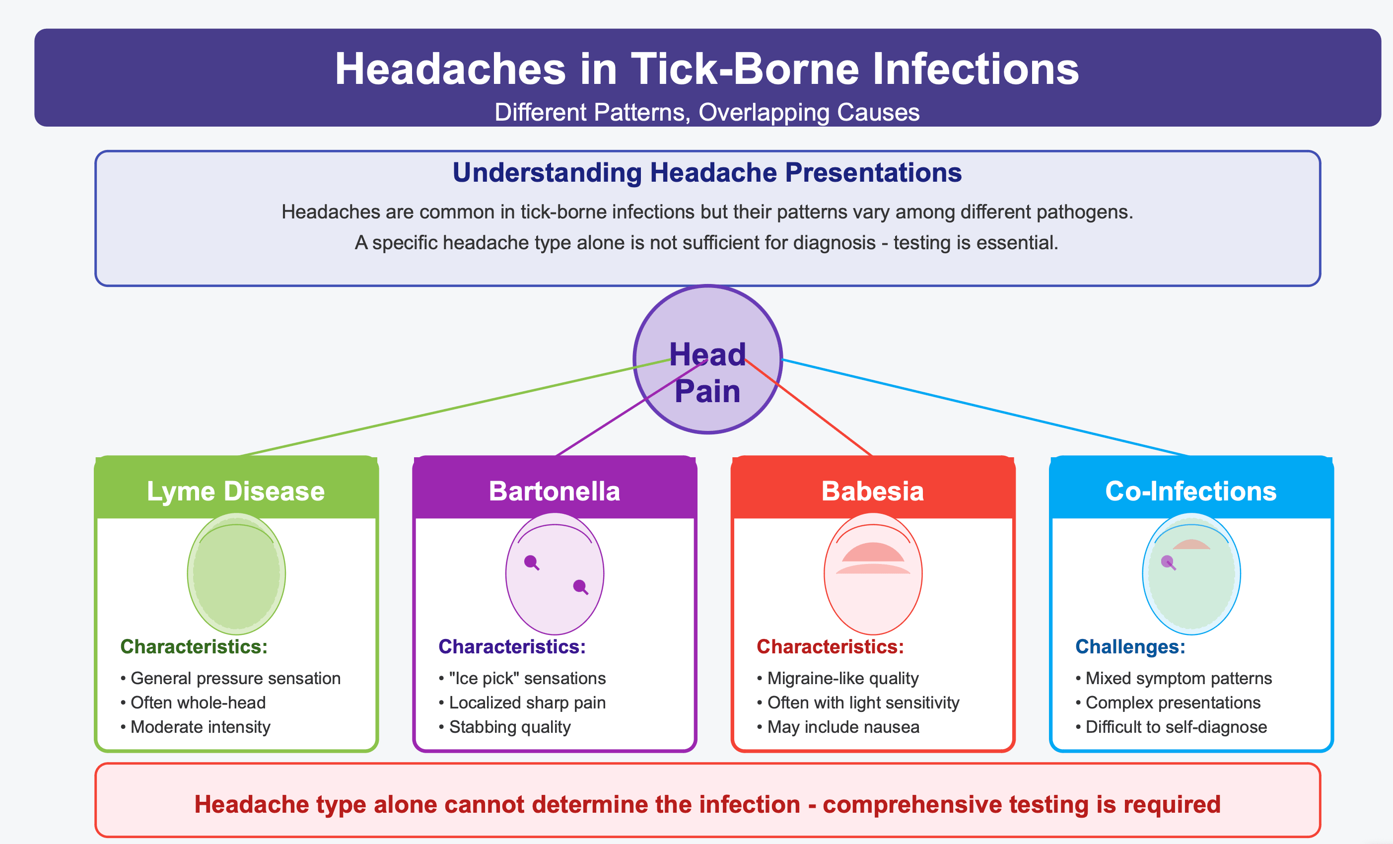 Infographic from LymeDr.com titled 'Headaches in Tick-Borne Infections: Different Patterns, Overlapping Causes' showing how head pain manifests differently across various infections. The diagram illustrates specific headache characteristics for Lyme Disease (general pressure sensation, often whole-head, moderate intensity), Bartonella ('ice pick' sensations, localized sharp pain, stabbing quality), Babesia (migraine-like quality, light sensitivity, may include nausea), and Co-Infections (mixed symptom patterns, complex presentations, difficult to self-diagnose). The graphic emphasizes that headache type alone cannot determine the specific infection and comprehensive testing is required.