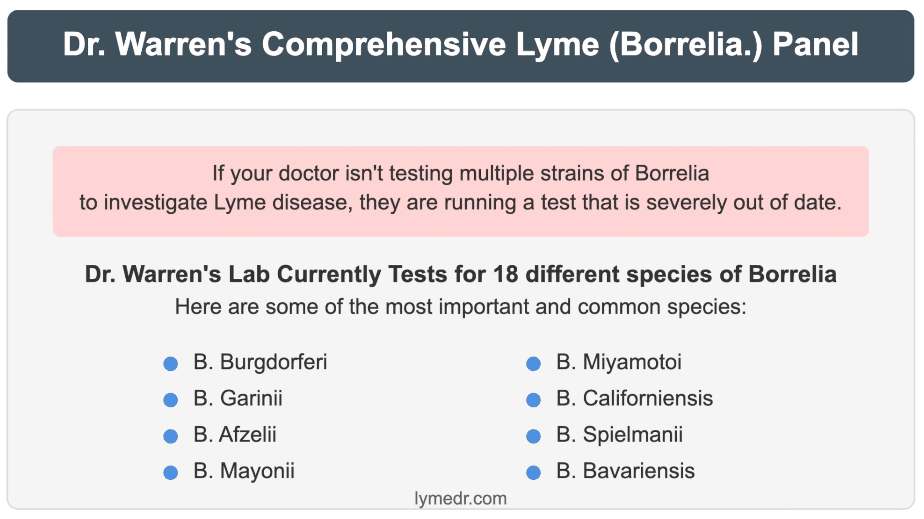 Comprehensive Borrelia testing panel by Dr. Warren - 18 Lyme disease species versus outdated single-strain tests, featuring important strains beyond Burgdorferi