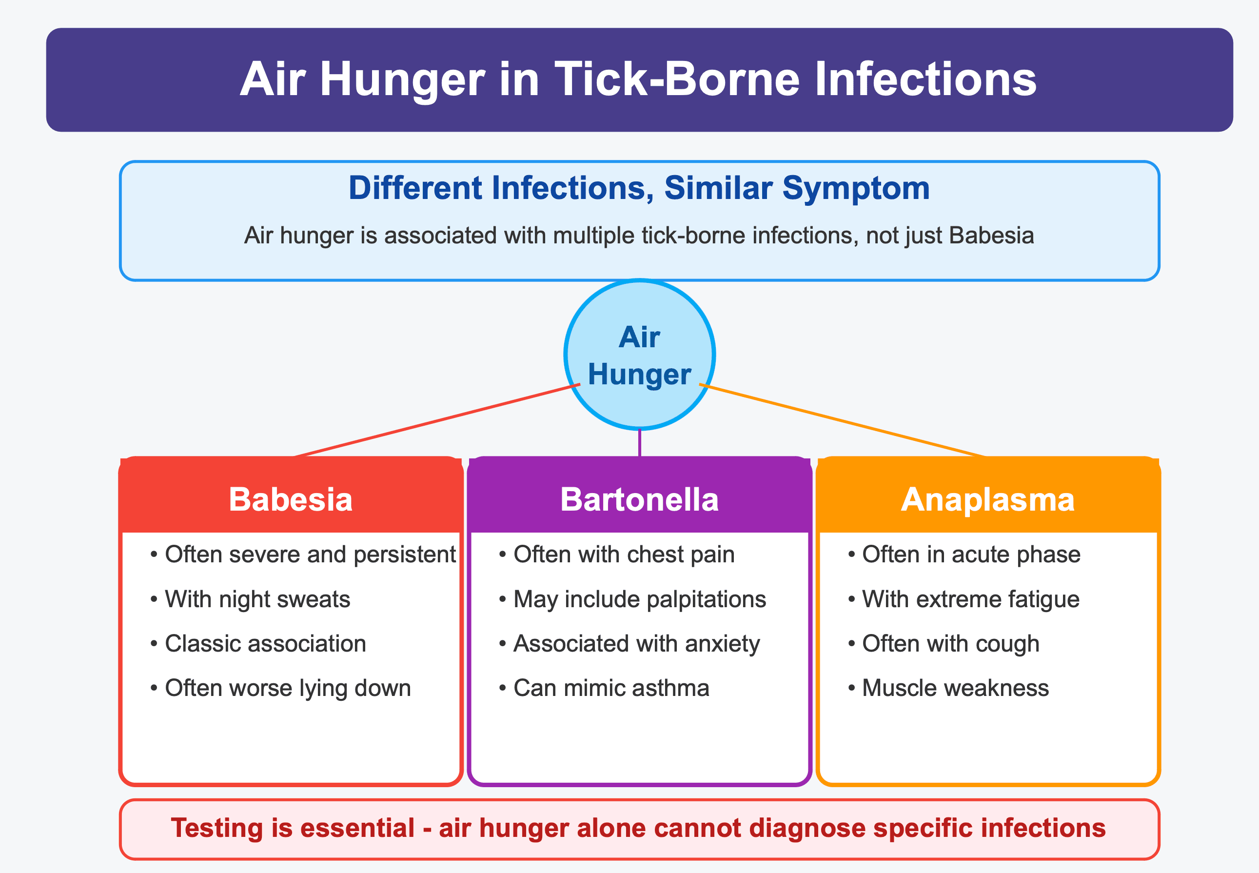 Infographic from LymeDr.com titled 'Air Hunger in Tick-Borne Infections' explaining how this symptom appears in multiple infections. The diagram shows air hunger as a central symptom connecting to three tick-borne diseases: Babesia (often severe, persistent, with night sweats, worse when lying down), Bartonella (associated with chest pain, palpitations, anxiety, can mimic asthma), and Anaplasma (occurs in acute phase with extreme fatigue, cough, muscle weakness). The graphic emphasizes that testing is essential as air hunger alone cannot diagnose specific infections.