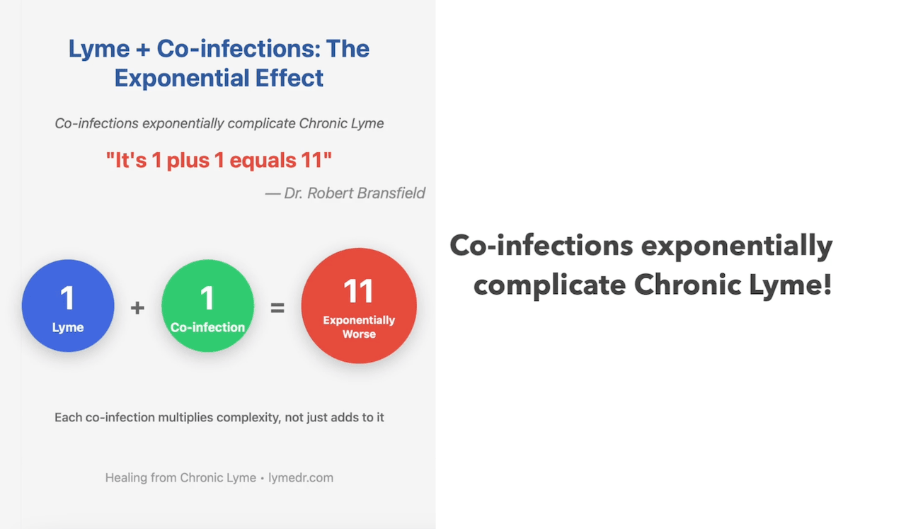 Lyme disease co-infections exponential effect infographic - 1 plus 1 equals 11 concept by Dr. Robert Bransfield showing how co-infections multiply chronic Lyme complexity