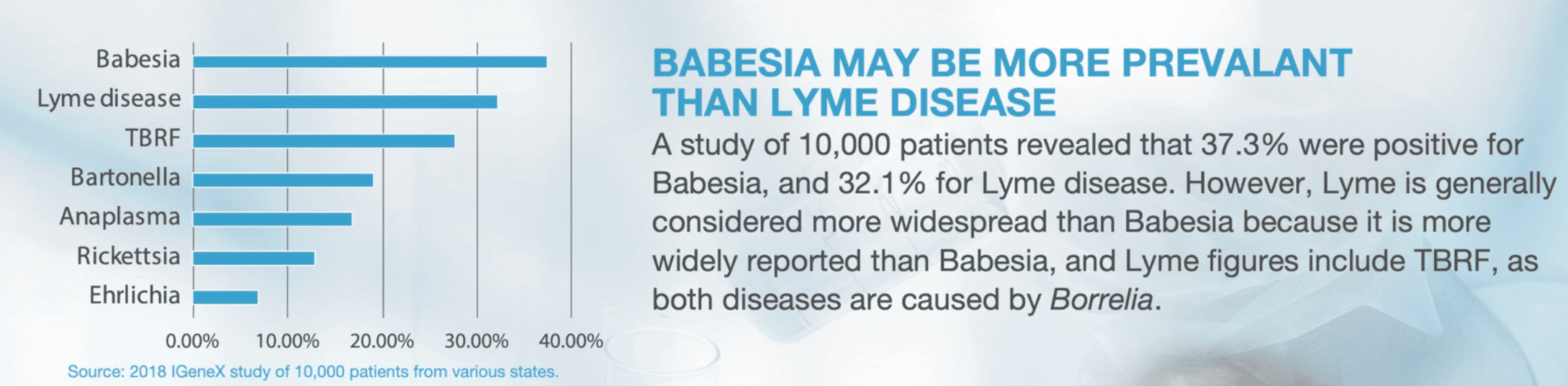 IGENE X study Infographic from lymedr.com comparing tick-borne disease prevalence from a 2018 IGeneX study of 10,000 patients. A horizontal bar chart shows Babesia at 37.3%, Lyme disease at 32.1%, TBRF, Bartonella, Anaplasma, Rickettsia, and Ehrlichia at progressively lower percentages. Text explains that Babesia may be more prevalent than Lyme disease, though Lyme is generally considered more widespread due to more frequent reporting and because both Lyme and TBRF are caused by Borrelia bacteria.
